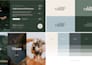 design professional branding and logo